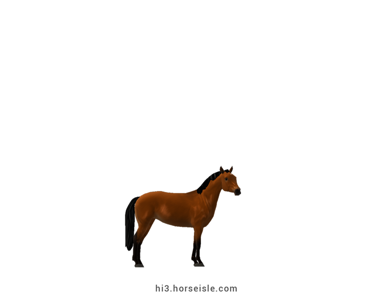 American Miniature Horse Linebacked Bright Bay Coat